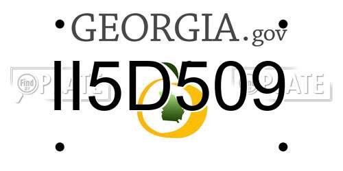 II5D509 Georgia License Plate