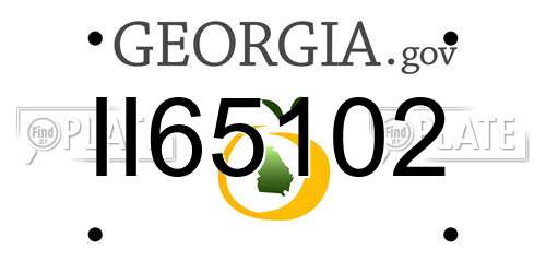 II65102 Georgia License Plate