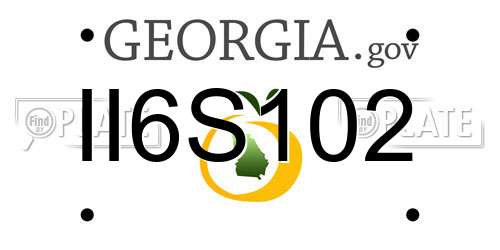II6S102 Georgia License Plate