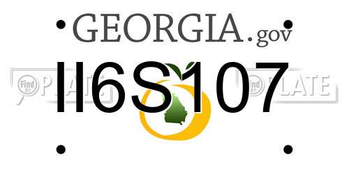 II6S107 Georgia License Plate