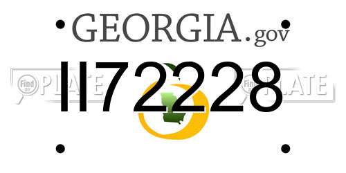 II72228 Georgia License Plate