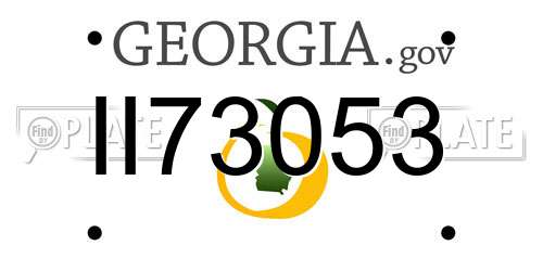 II73053 Georgia License Plate