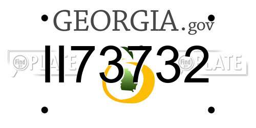 II73732 Georgia License Plate