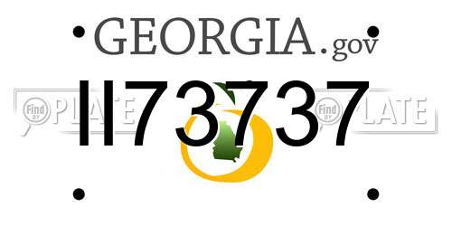 II73737 Georgia License Plate