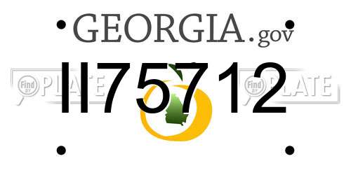 II75712 Georgia License Plate