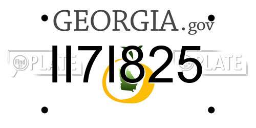 II7I825 Georgia License Plate
