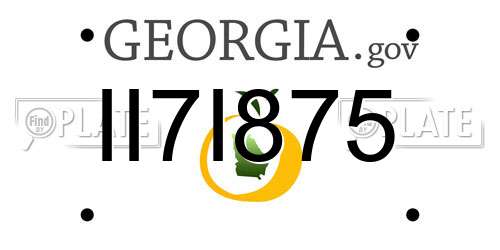 II7I875 Georgia License Plate