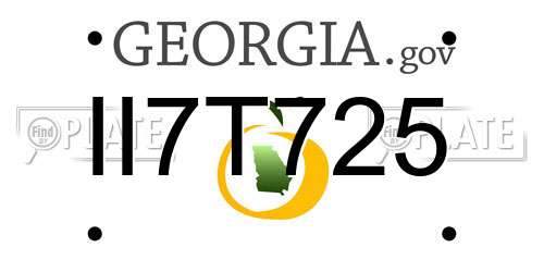 II7T725 Georgia License Plate