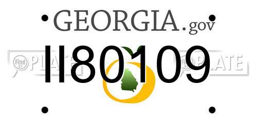 II80109 Georgia License Plate