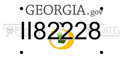 II82228 Georgia License Plate