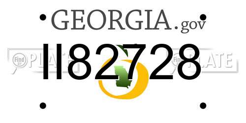 II82728 Georgia License Plate