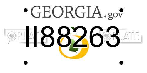 II88263 Georgia License Plate