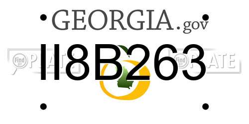 II8B263 Georgia License Plate