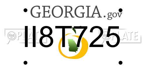 II8T725 Georgia License Plate