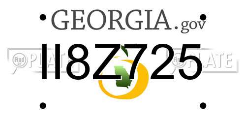II8Z725 Georgia License Plate