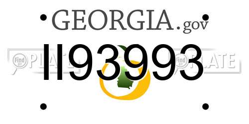 II93993 Georgia License Plate