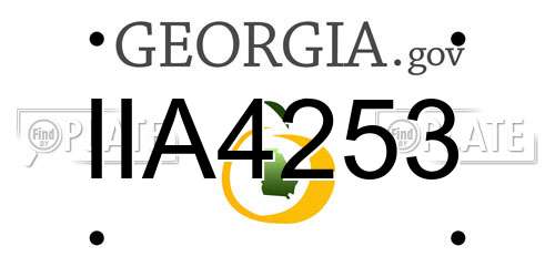 IIA4253 Georgia License Plate