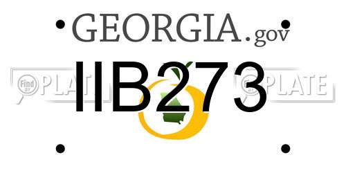 IIB273 Georgia License Plate