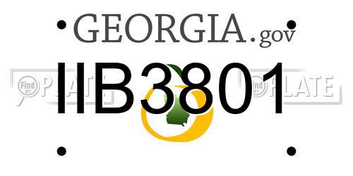 IIB3801 Georgia License Plate