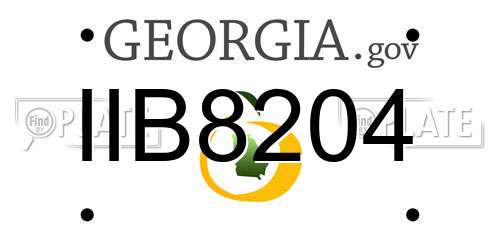 IIB8204 Georgia License Plate