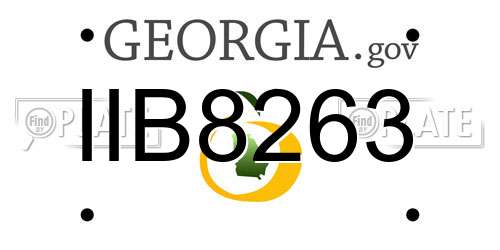 IIB8263 Georgia License Plate