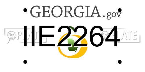 IIE2264 Georgia License Plate