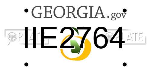 IIE2764 Georgia License Plate