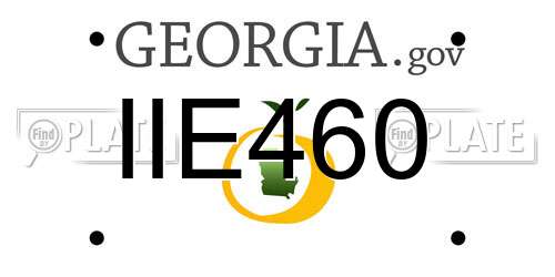 IIE460 Georgia License Plate
