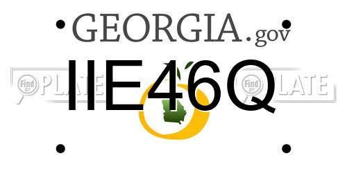 IIE46Q Georgia License Plate