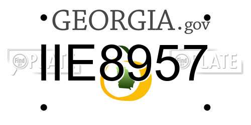 IIE8957 Georgia License Plate