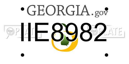 IIE8982 Georgia License Plate