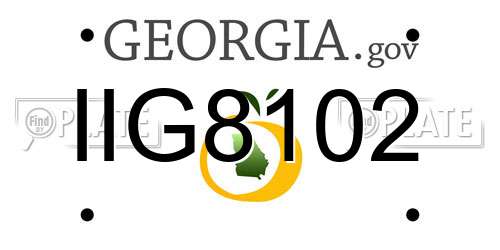 IIG8102 Georgia License Plate