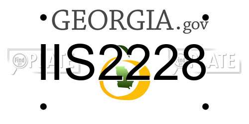 IIS2228 Georgia License Plate