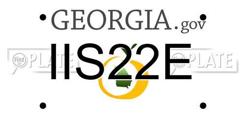 IIS22E Georgia License Plate