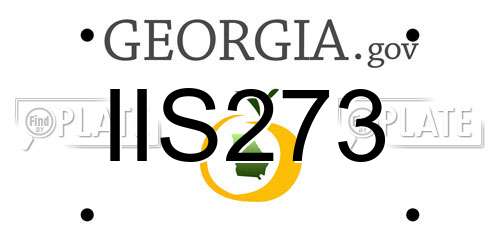 IIS273 Georgia License Plate