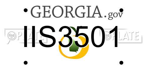 IIS3501 Georgia License Plate