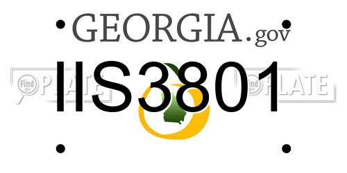 IIS3801 Georgia License Plate