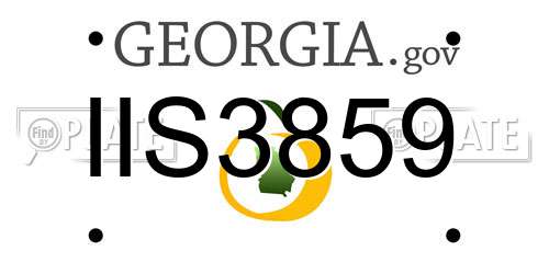 IIS3859 Georgia License Plate