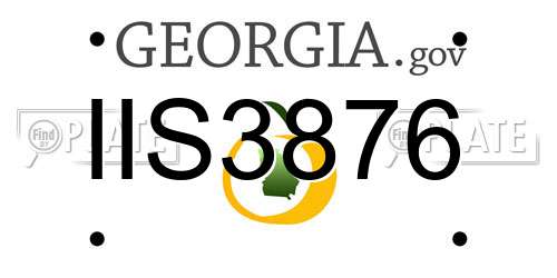 IIS3876 Georgia License Plate