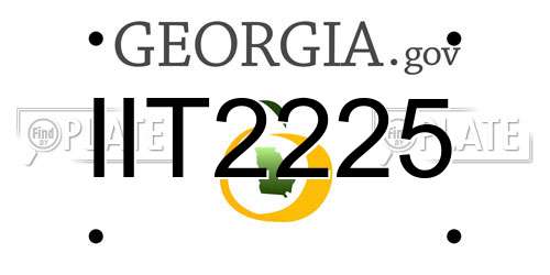 IIT2225 Georgia License Plate