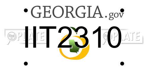 IIT2310 Georgia License Plate