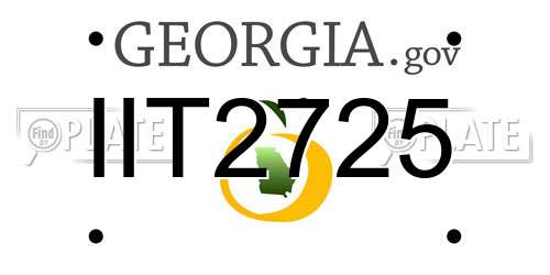 IIT2725 Georgia License Plate