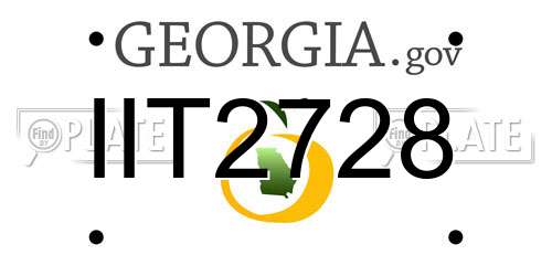 IIT2728 Georgia License Plate