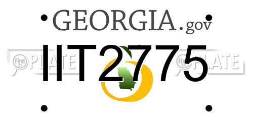 IIT2775 Georgia License Plate