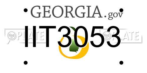 IIT3053 Georgia License Plate
