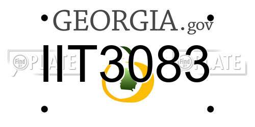 IIT3083 Georgia License Plate