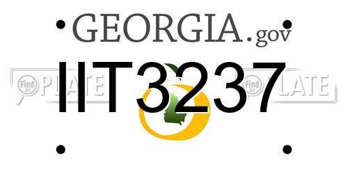 IIT3237 Georgia License Plate