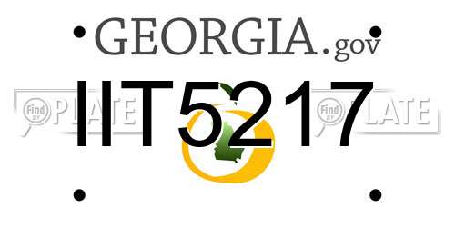 IIT5217 Georgia License Plate