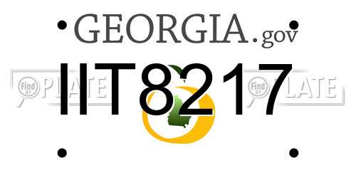 IIT8217 Georgia License Plate