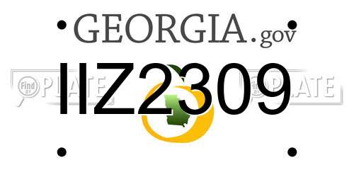 IIZ2309 Georgia License Plate